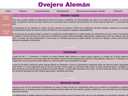 FINAL/Alimentacion screenshot