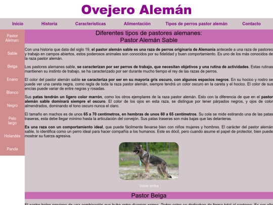 FINAL/Tipos screenshot