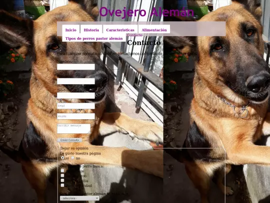 FINAL/contacto screenshot