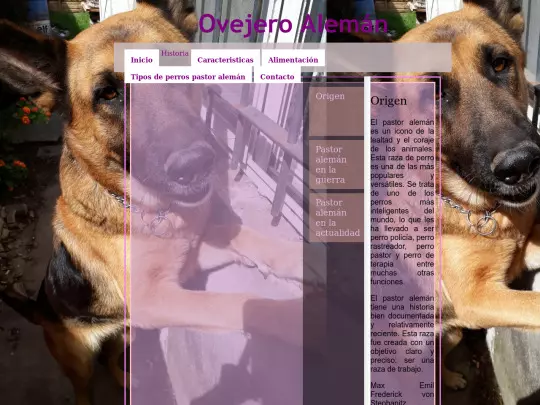 FINAL/historia screenshot