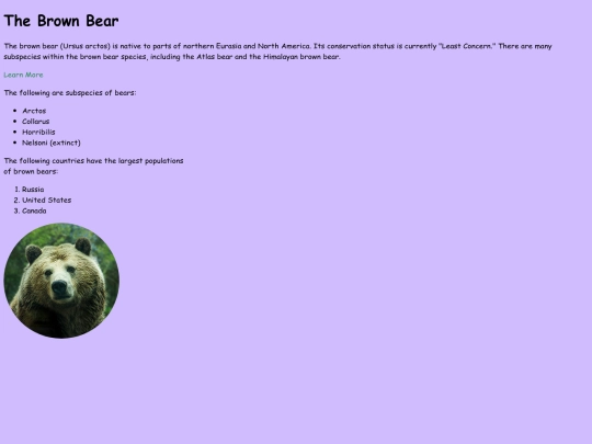 brownbear screenshot