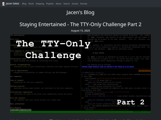blog/20250815-staying-entertained-the-tty-only-challenge-part-2 screenshot