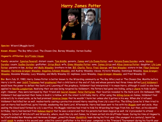 Gryffindor/HarryPotter screenshot