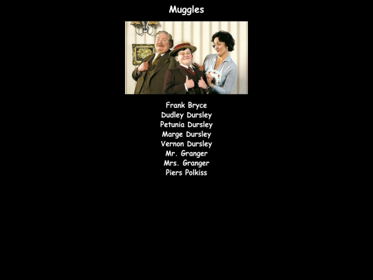 Muggles screenshot