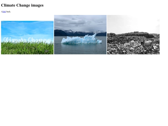 images screenshot
