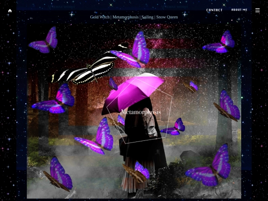 portfo_metamorphosis screenshot
