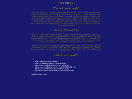seaslugs screenshot