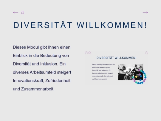 diversitaet screenshot