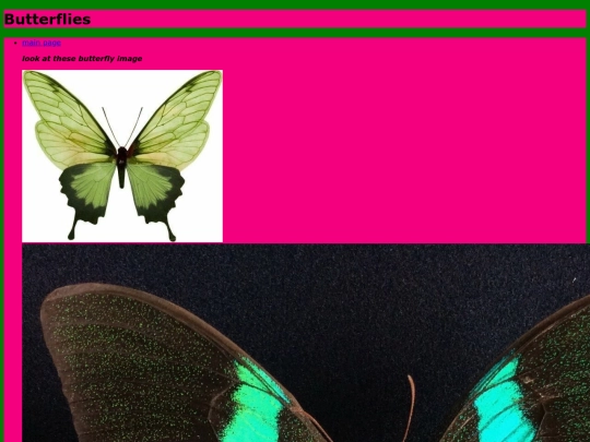 ButterfliesFromRats screenshot