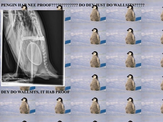 kneesornot screenshot