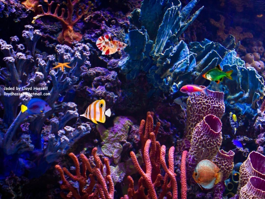 aquarium screenshot