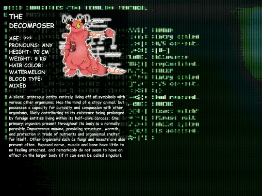 character/decomp screenshot