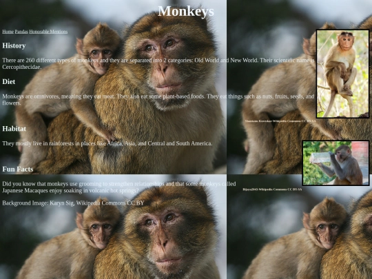 monkey screenshot