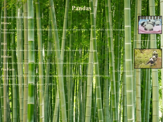panda screenshot