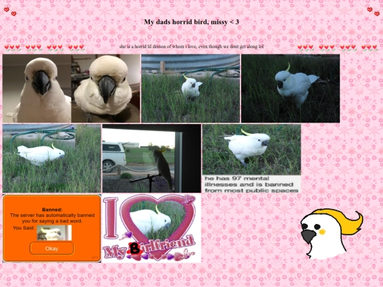 bird screenshot