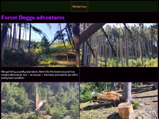 nature screenshot