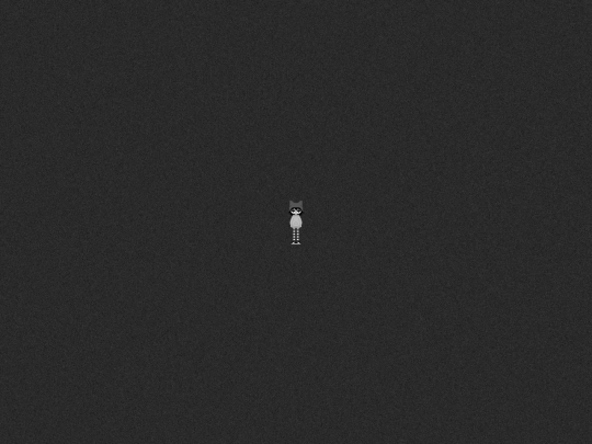 black screenshot