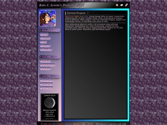 projects screenshot