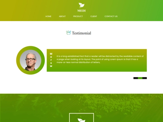 client screenshot
