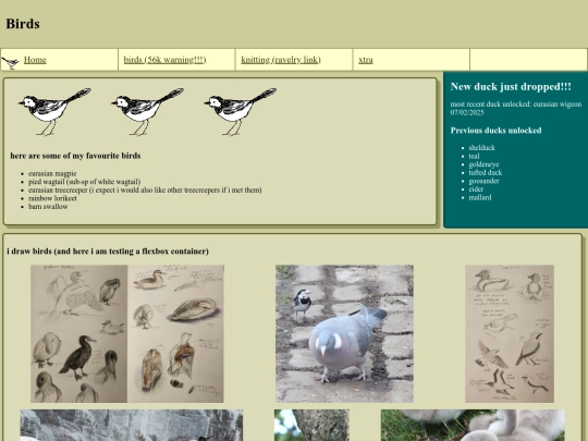 birds screenshot