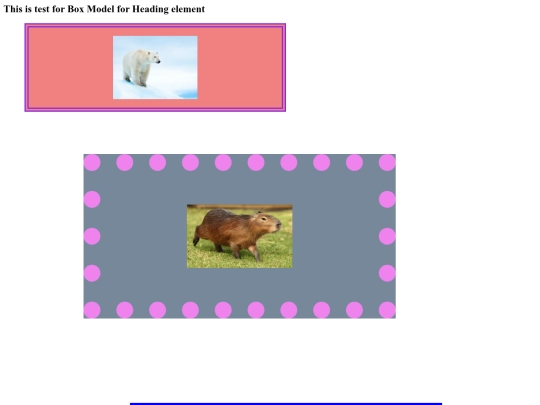 web-design/css/CSS_Box_Model_Challenge screenshot