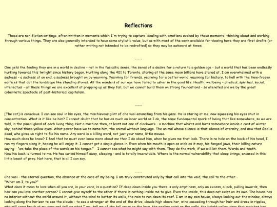 reflections screenshot