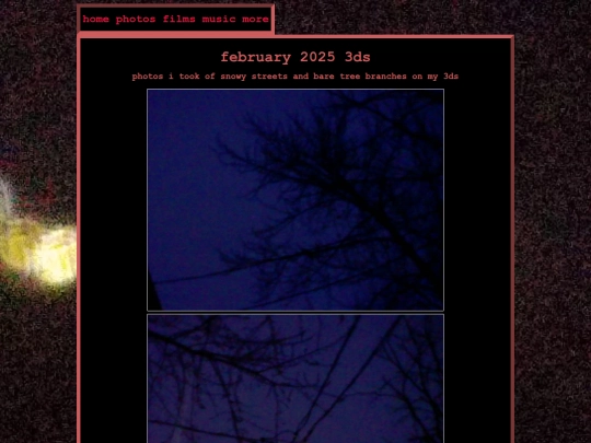 photos/20250222-3ds screenshot