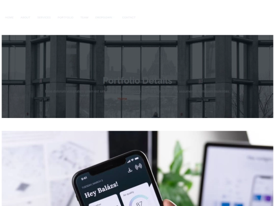 Dewi-1.0.0/portfolio-details screenshot
