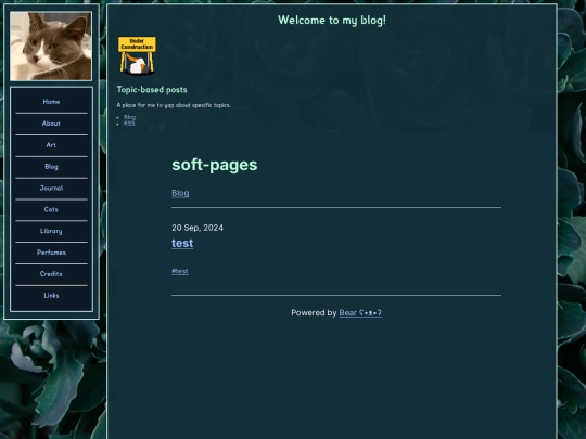 blog screenshot