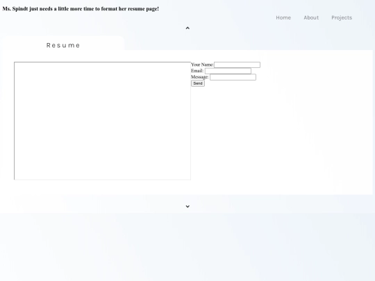 Portfolio/resume screenshot