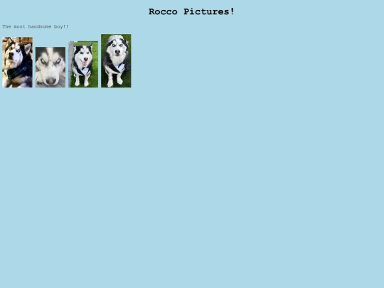 RoccoPics screenshot