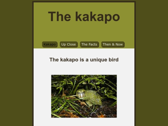 assessment screenshot