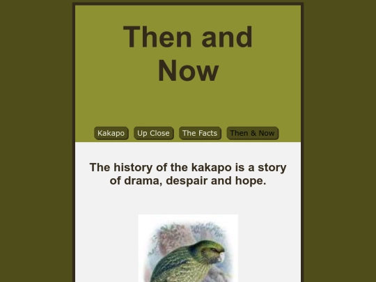 assessment/thenandnow screenshot