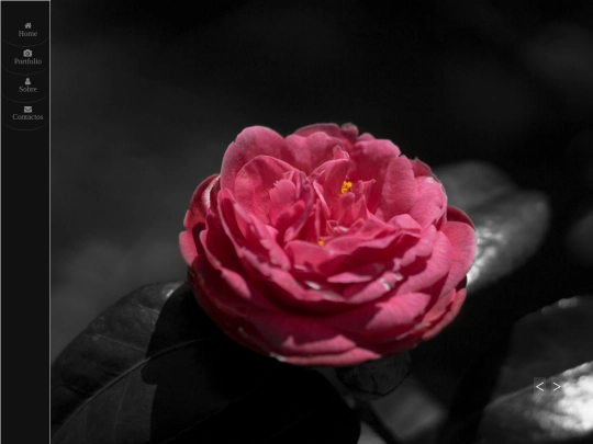 foto_4 screenshot