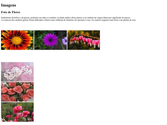 atividade5/atividade4 screenshot