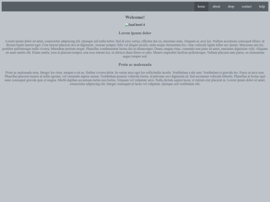 myfirstwebsite screenshot