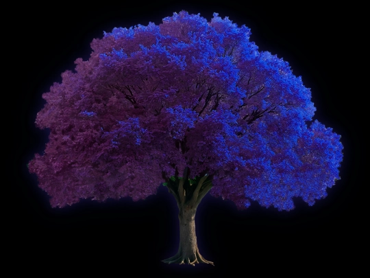 arbol screenshot