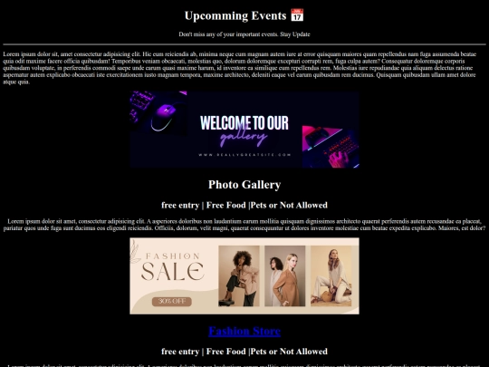protfolio/event screenshot