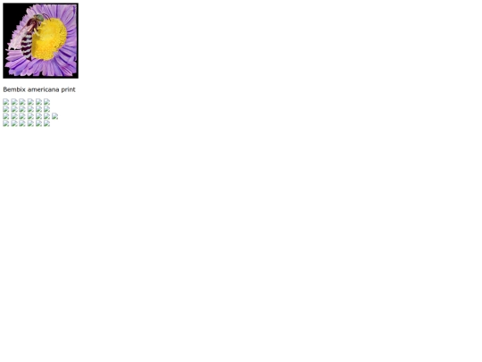 available screenshot