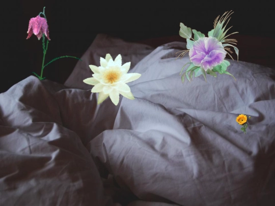 sheets screenshot