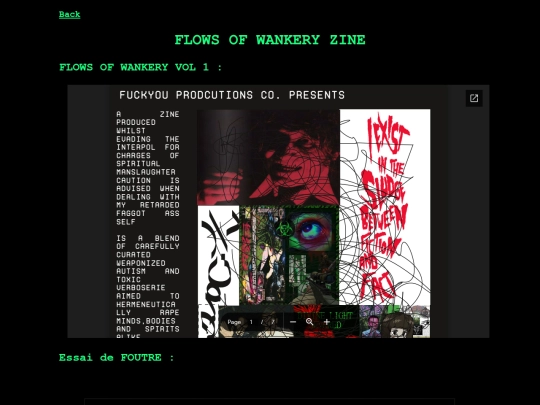 posts/zine screenshot