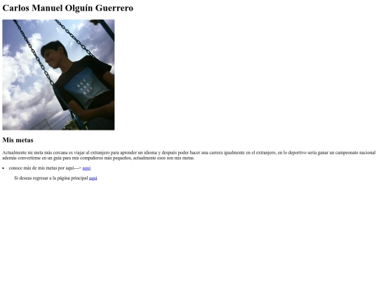 metas screenshot