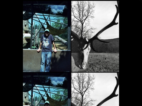 gallery screenshot