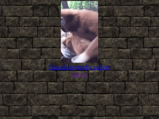 home screenshot