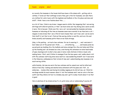 dillonblog/ziggyblog/posts/bee-costume screenshot