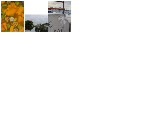 photolog/dashboard screenshot