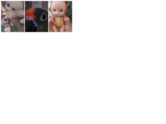 photolog/other screenshot