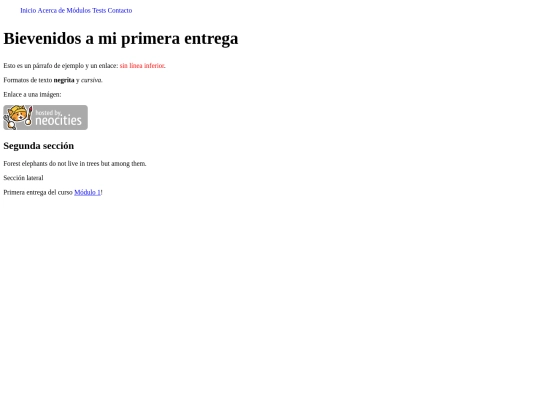 modulo1 screenshot