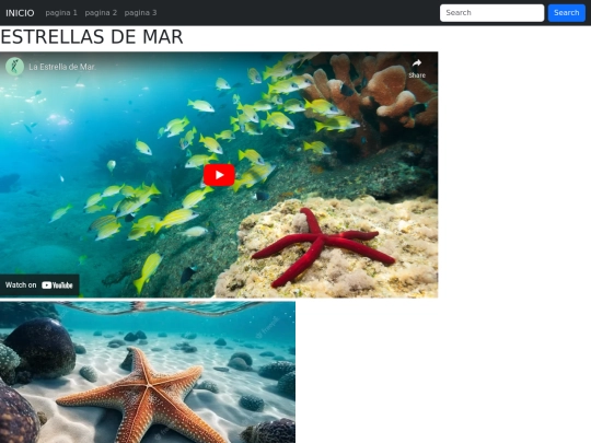 pagina/pagina1 screenshot