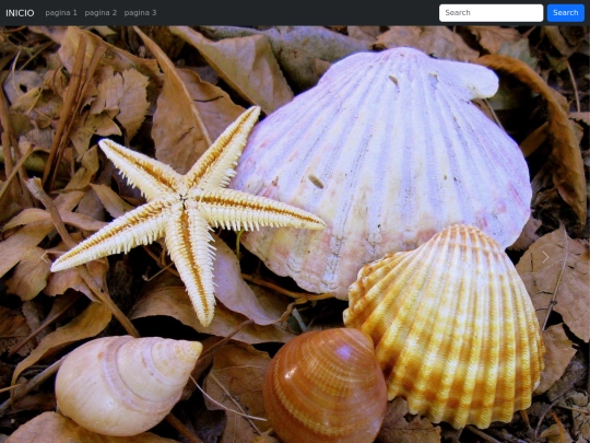 pagina/pagina2 screenshot
